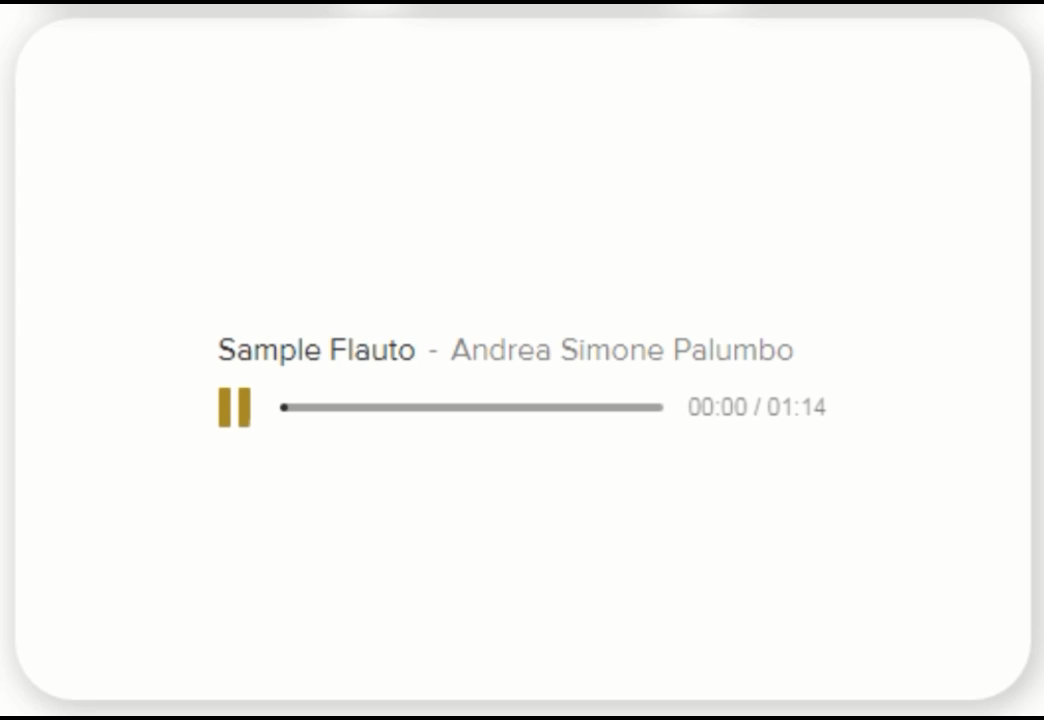 FT-10 Wired Flute Microphone for Recording