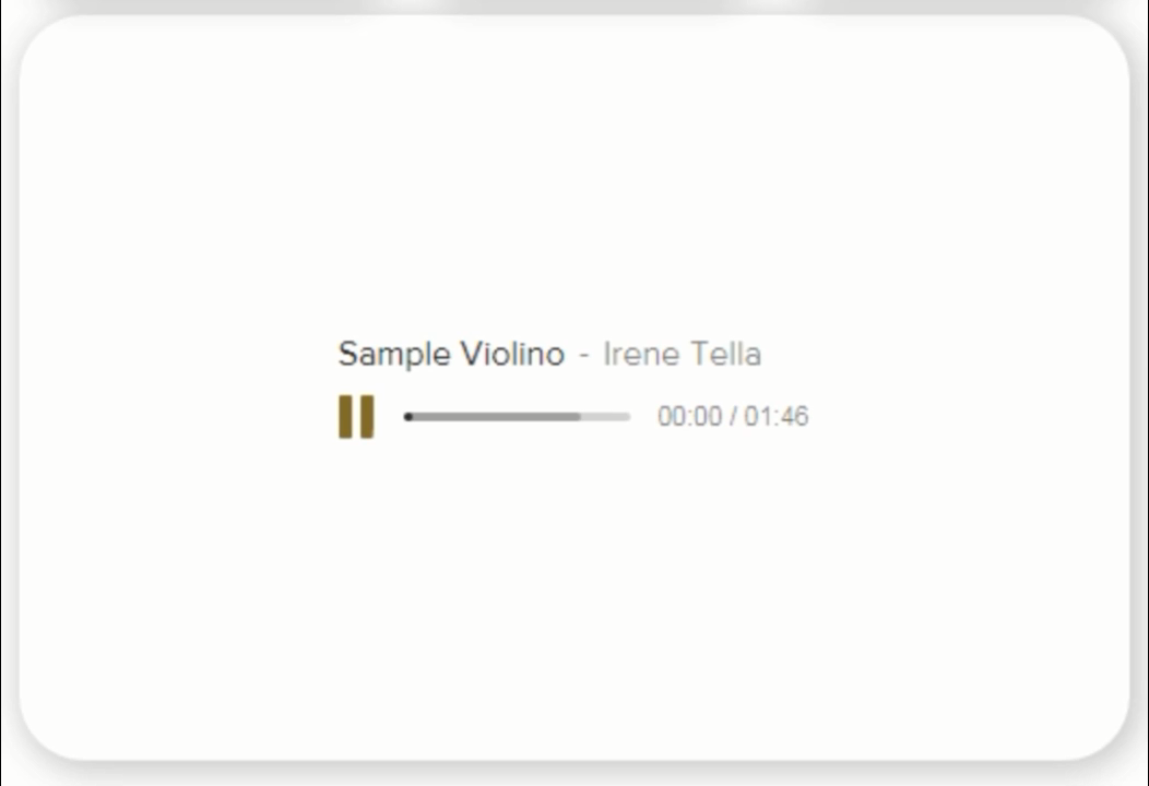 VT-10R Wired Violin Microphone for Recording