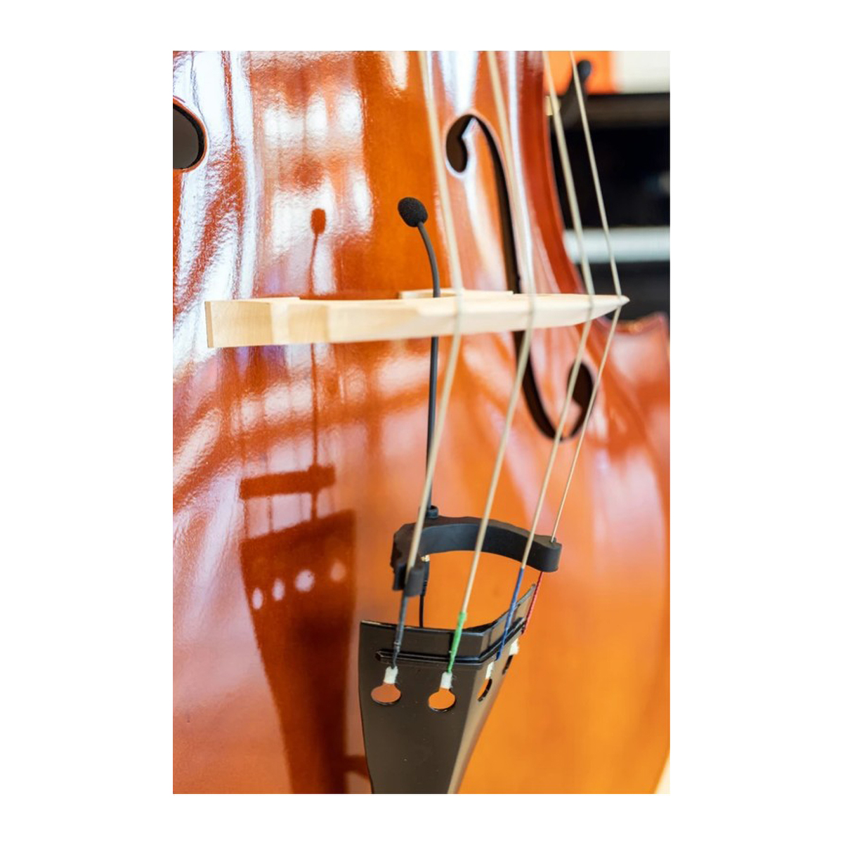 BT-20 Wired Double Bass Microphone