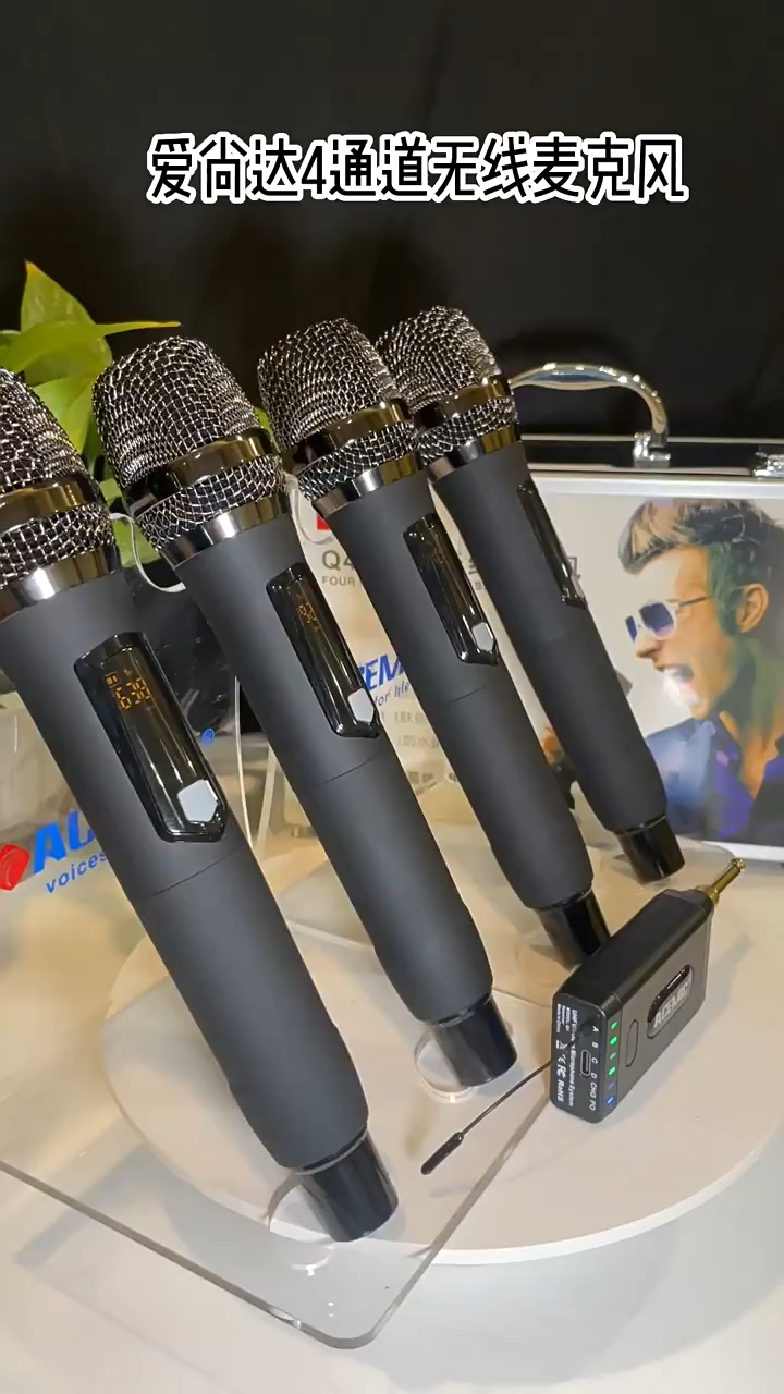 Q4/M1 4 Channel Wireless Microphone System for Karaoke